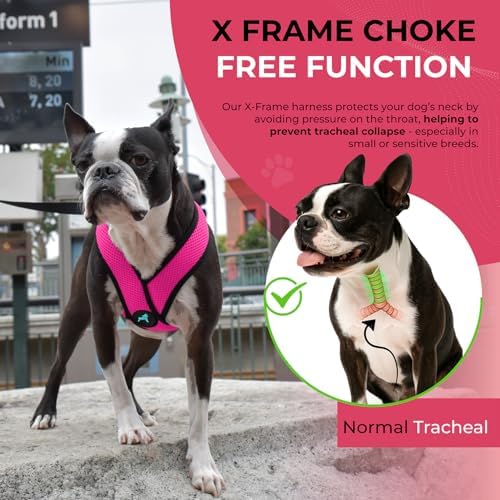 Gooby Comfort X Head-in Dog Harness, Choke-Free, Flamingo Pink - Image 5