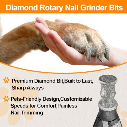 BGTEC Diamond Dog Nail Grinder Replacement Heads - Image 4