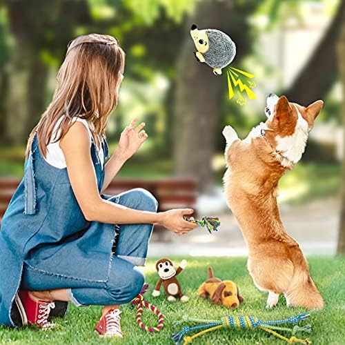 LEGEND SANDY Puppy Toys, Squeaky Dog Toys - Image 6