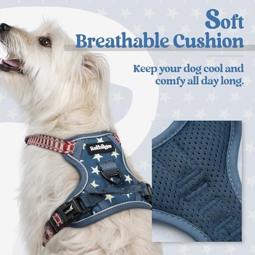 rabbitgoo Dog Harness, No Pull for Small Dogs - Image 2
