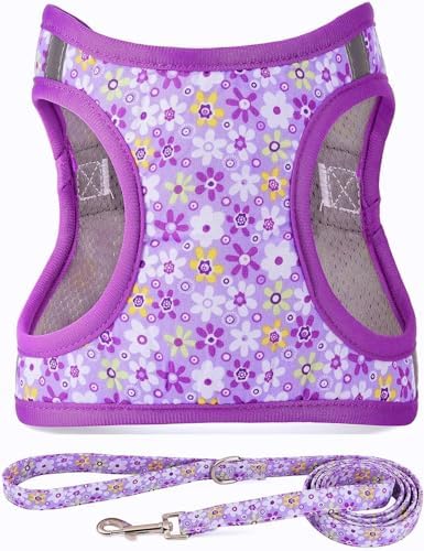 Step in Dog Harness Leash Set- All Weather Reflective No-Pull Floral Pattern by MOONPET
