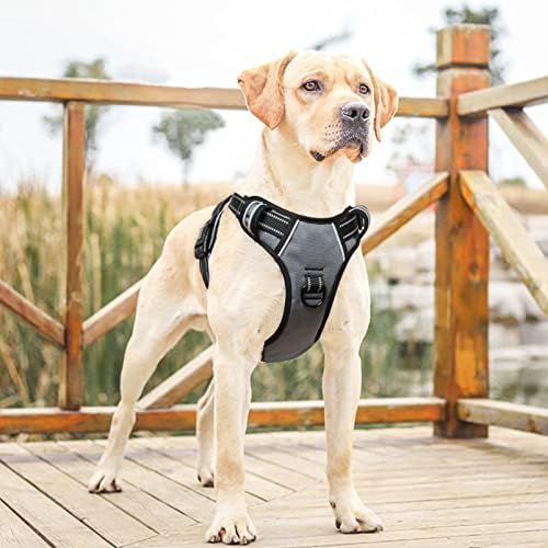 HEELE Dog Harness, No Pull Adjustable Padded Reflective Harness - Image 4