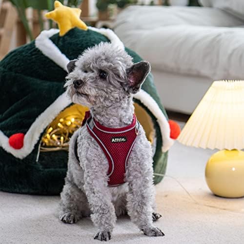 AIITLE Dog Harness and Leash Set, Step-in Puppy Pet Vest, Burgundy XL - Image 2