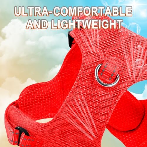 BARKBAY Small Dog Harness, No Pull Puppy Harness, Step-in Dog Vest - Image 2