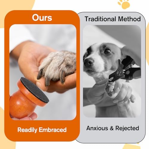 Dog Nail File with Replaceable Filing Disc Dog Nail File Scratch Board - Image 6