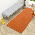 OLANLY Dog Door Mat for Muddy Paws 54x24, Super Absorbent Chenille Mud Mat by OLANLY