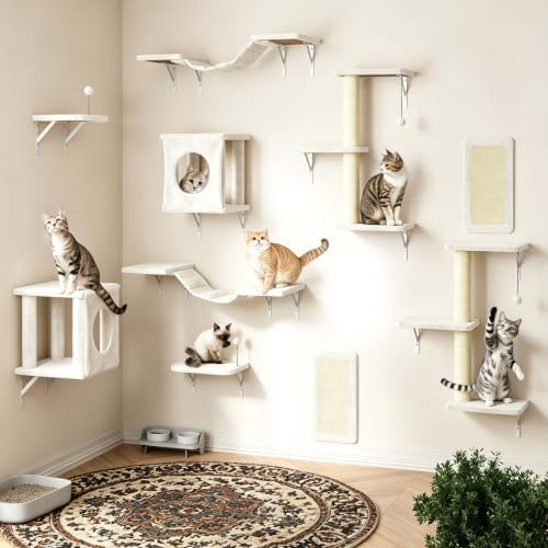 10 Pcs Cat Wall Shelves for Large Cats, Floating Climber by KAMABOKO
