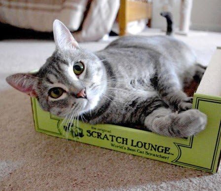 The Original Scratch Lounge XL - Image 7