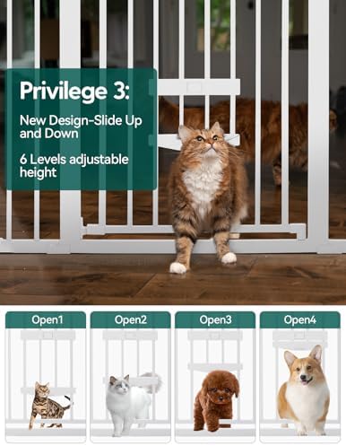 Babelio Extra Wide Dog Gate - Image 3
