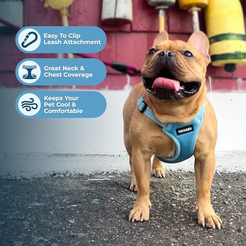 Voyager Step-in Flex Adjustable Dog Harness - Image 5