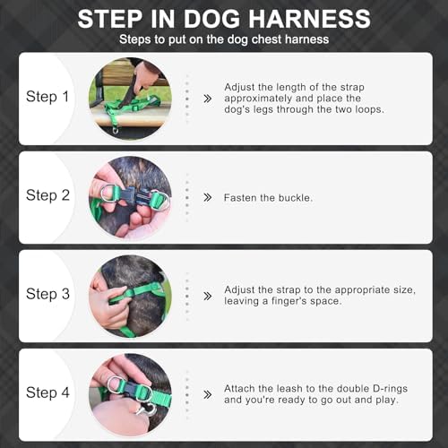 BEAUTYZOO Step in Dog Harness Collar and Leash Set - Image 6