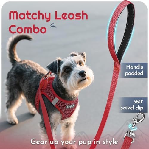 Eagloo Small Dog Harness and Leash Set, Step in Medium Small Puppy Pet Vest - Image 6
