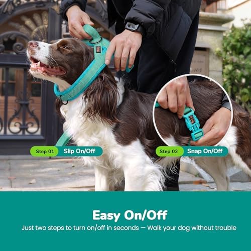 Didog No Pull Dog Harness for Small Dogs, Breathable Mesh Padded - Image 4
