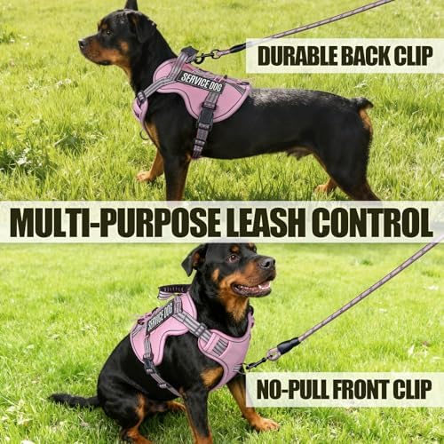Dog Harness and Leash Set for Small Dogs, No Pull Tactical Dog Harness - Image 6