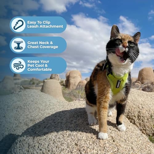 Voyager Step-in Lock Cat Harness & Leash Set - Image 5