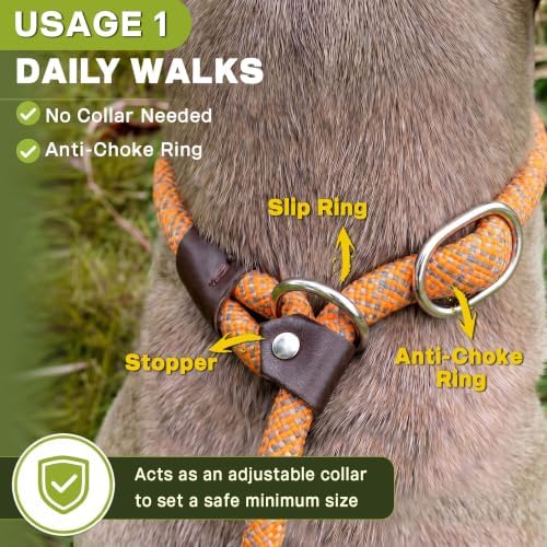 Fida Durable Slip Lead Dog Leash, 6 FT x 3/8" Dog Training Leash - Image 4