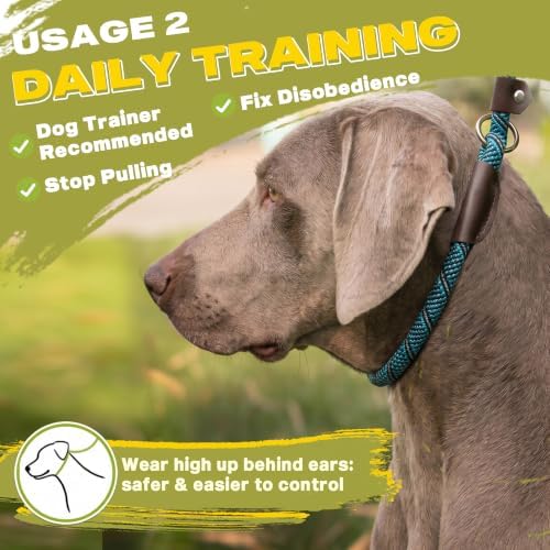 Fida Slip Lead Dog Leash 5 Pack, 6 FT x 1/2" Dog Training Leash - Image 5