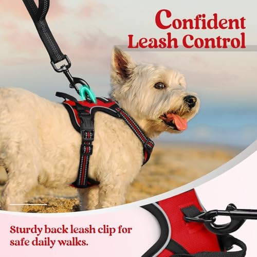 rabbitgoo Dog Harness, No Pull for Small Dogs - Image 6