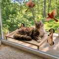 Extra Wide Cat Window Perch, 3-in-1 & Cordless by JessWednes
