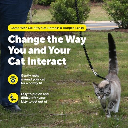 PetSafe Come With Me Kitty Harness and Bungee Leash, Harness - Image 3