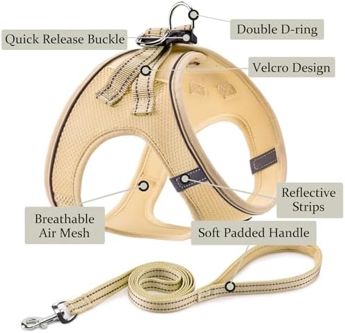 Dog Harness with Leash Set, Step-in Adjustable Puppy Pet Vest - Image 2