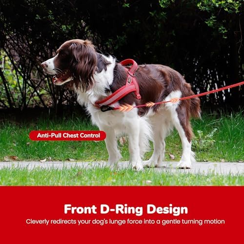 Didog No Pull Dog Harness for Small Dogs, Breathable Mesh Padded - Image 5