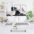 42.5” Pet Dog Hydraulic Grooming Table Adjustable Height Trimming Drying Table by JETEAGO