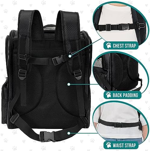 PetAmi Dog Backpack Carrier for Cats, 4-Way Entry Ventilated, 18 lbs - Image 5