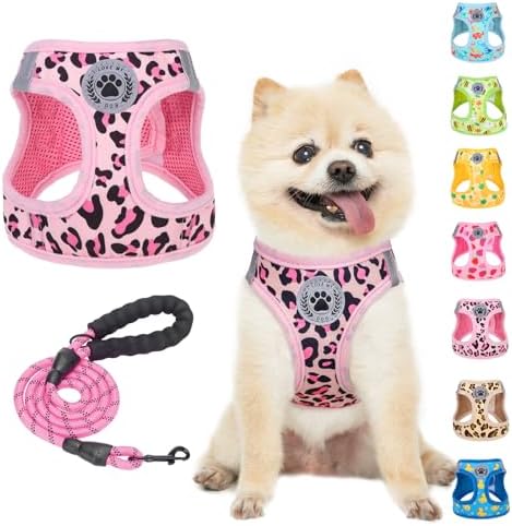 BEAUTYZOO Small Dog Harness and Leash Set, No Pull Puppy Pet Vest by BEAUTYZOO