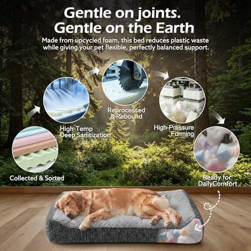 JOEJOY Orthopedic Dog Bed Medium Sized Dogs, Extra Thick Supportive Big Dog - Image 5