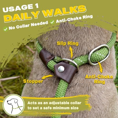 Fida Slip Lead Dog Leash 5 Pack, 6 FT x 1/2" Dog Training Leash - Image 4