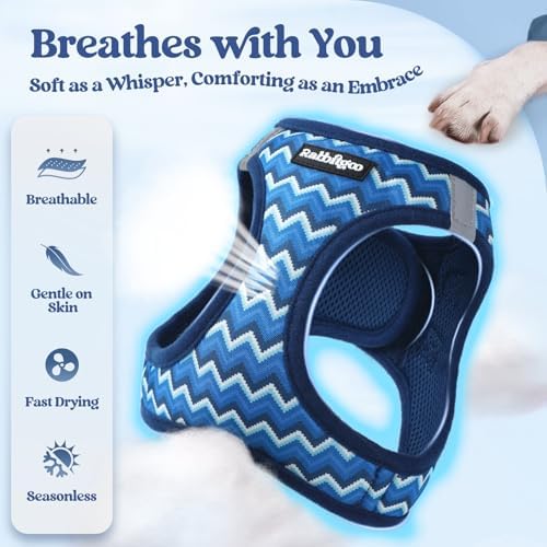 rabbitgoo Dog Harness Medium Sized and Leash Set, Step-in Puppy Pet Vest - Image 4