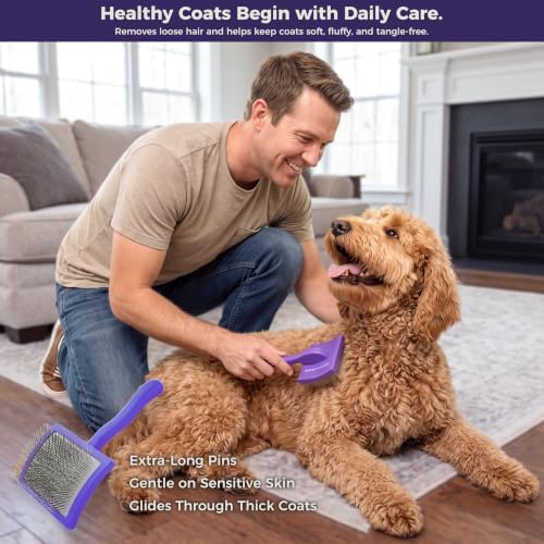 5PCS Dog Grooming Kit with Long Pin Slicker Brush - Image 3