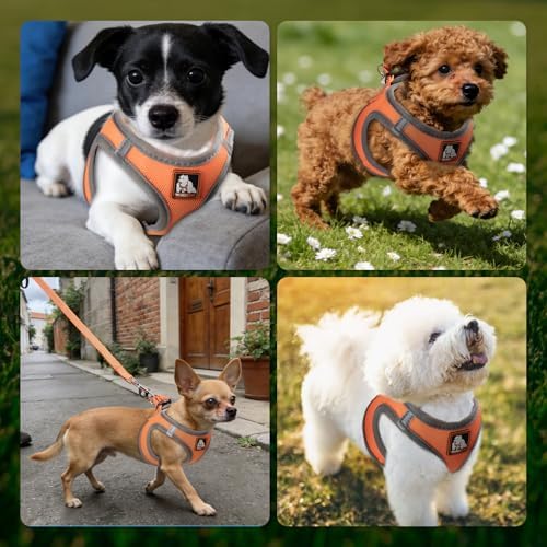 Dog Harness Medium Sized Dogs, Puppy Harness and Leash Set - Image 7