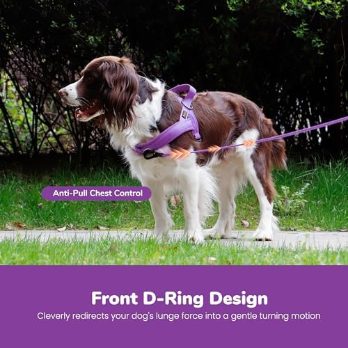 Didog No Pull Dog Harness for Medium Dogs, Breathable Mesh Padded - Image 5