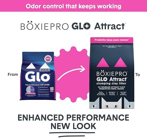 Boxie Glo Attract Clumping Cat Litter 40+ Day Odor Control Dust Free 40 lb - Image 2