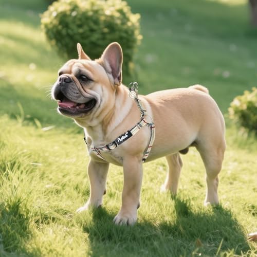 PUPTECK No Pull Dog Harness Medium Sized Step-in Adjustable Puppy Vest - Image 6