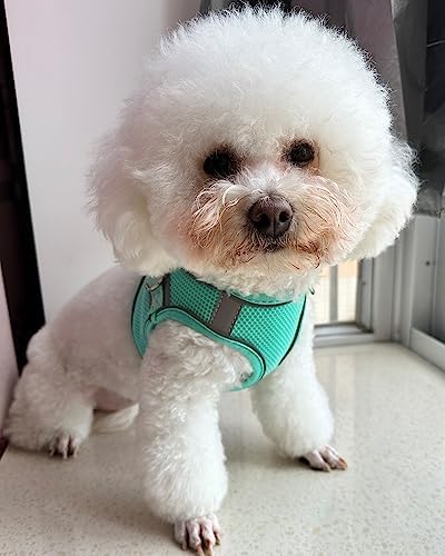 Solmoony Dog Harness for Small Medium Dogs No Pull, Puppy Harness and Leash Set - Image 2