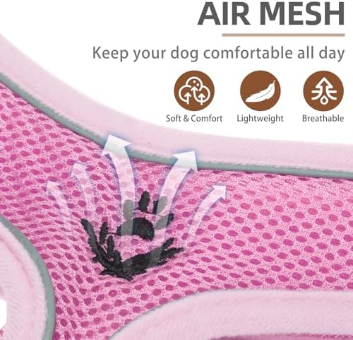PUPTECK Small Dog Harness and Leash Set No Pull - Image 2