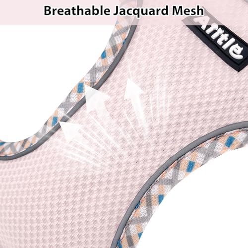 AIITLE Breathable Dog Harness Small Sized and Leash Set - Image 2