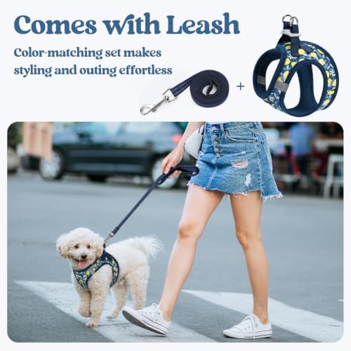 rabbitgoo Dog Harness Small Sized and Leash Set, Step-in Puppy Pet Vest - Image 6