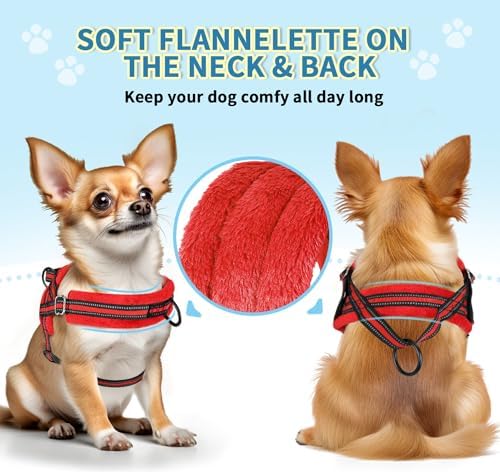 SlowTon No Pull Small Dog Harness and Leash Set - Image 2