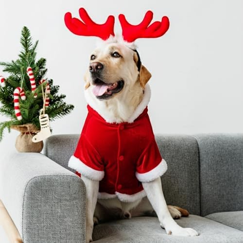 Parisian Pet Dog Santa Hoodie - Santa Claus Dog Christmas Outfit – Xmas Holiday Puppy Hoodie – Winter Pet Sweater – Soft Velvet Christmas Doggy Clothes for Small Dogs - S - Image 6