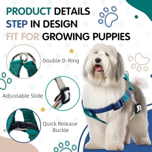 Tri-Color Adjustable Step-in No-Pull Harness - Image 4