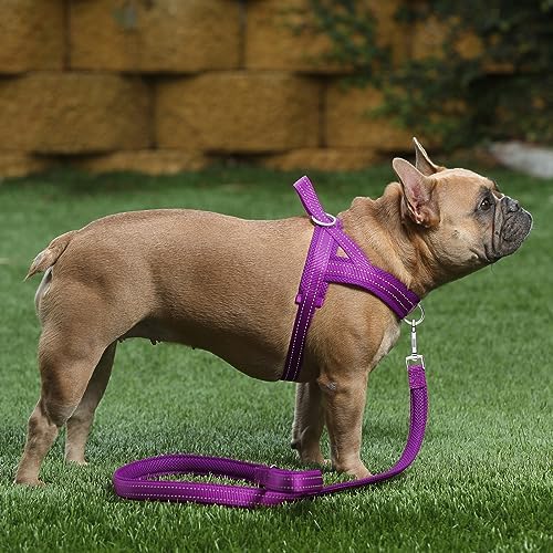 Plutus Pet No Pull Dog Harness for Medium Sized Dog, Breathable Mesh Padded - Image 5
