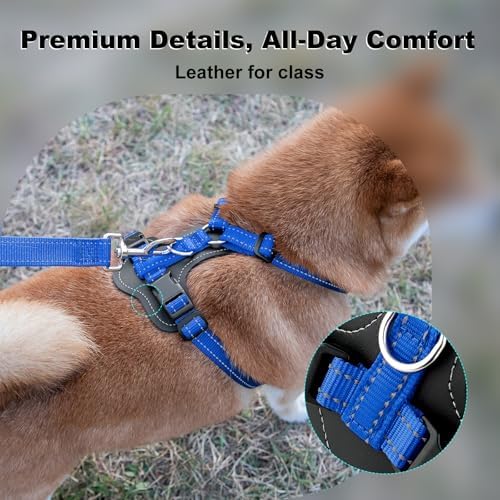 Plutus Pet No Pull Dog Harness - Image 2