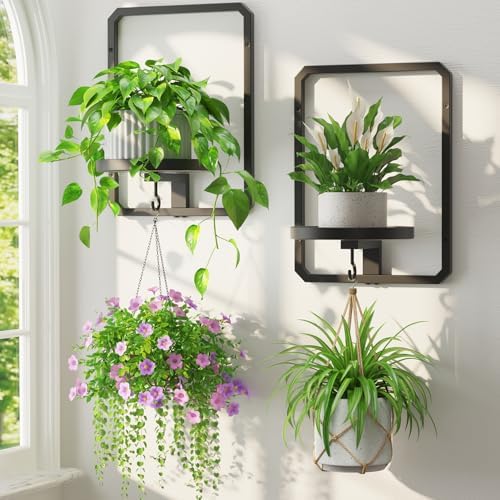 LASZOLA Plant Picture Frame Holder Shelf Wall Window Indoor by LASZOLA