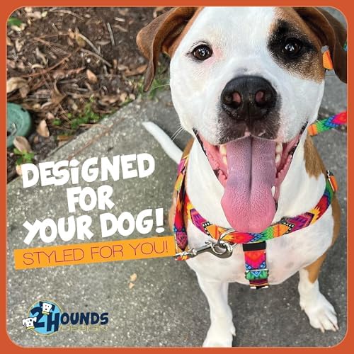 2 Hounds Design Freedom No Pull Dog Harness and Leash - Image 7