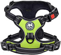 PoyPet No Pull Dog Harness Medium by PoyPet