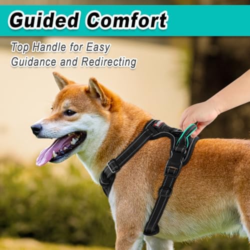 BARKBAY Dog Harness for Small Sized Dog No Pull 2 Leash Clips Dog Vest - Image 4